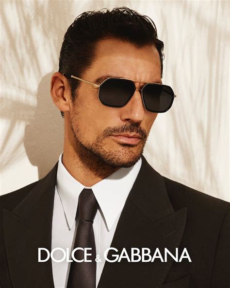 dolce gabbana eyewear 2017|Dolce & Gabbana eyewear 2022.